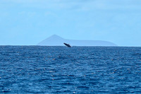 Kauai 2019 - 020.jpg