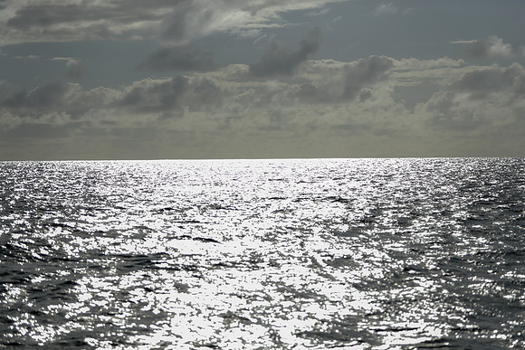 Kauai 2019 - 101.jpg