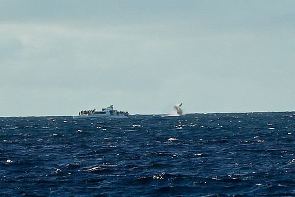 Kauai 2019 - 118.jpg