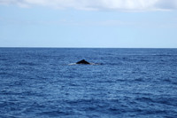 Kauai 2019 - 040.jpg