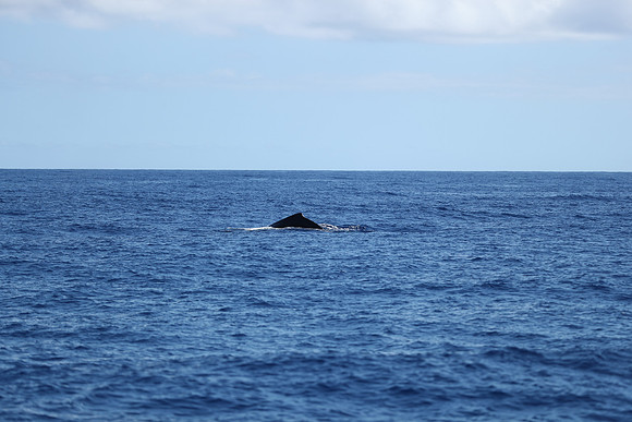 Kauai 2019 - 040.jpg