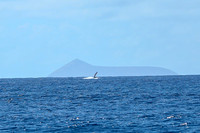Kauai 2019 - 026.jpg
