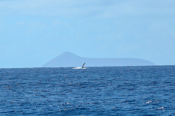 Kauai 2019 - 026.jpg