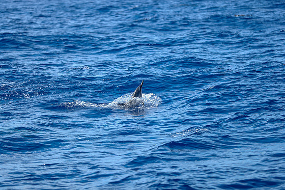 Kauai 2019 - 047.jpg