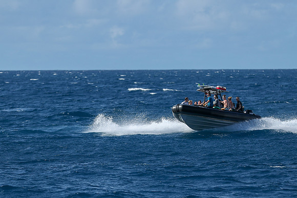 Kauai 2019 - 083.jpg