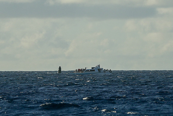 Kauai 2019 - 113.jpg