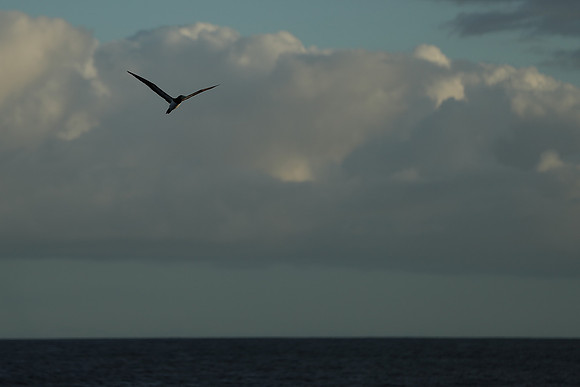 Kauai 2019 - 127.jpg