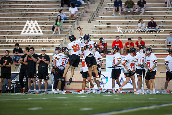 Tigers vs Bulldogs Ivy Tourney 2024 - 4113.jpg