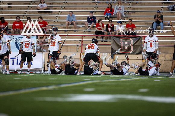 Tigers vs Bulldogs Ivy Tourney 2024 - 4380.jpg