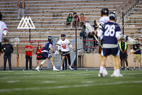Tigers vs Bulldogs Ivy Tourney 2024 - 4551.jpg
