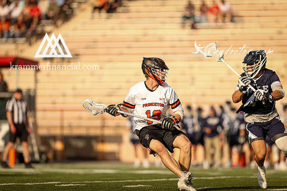 Tigers vs Bulldogs Ivy Tourney 2024 - 1349.jpg