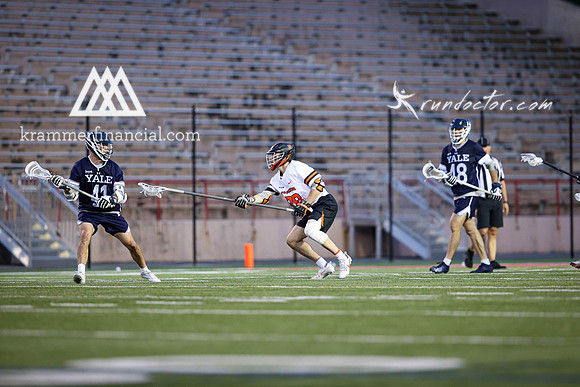 Tigers vs Bulldogs Ivy Tourney 2024 - 4465.jpg