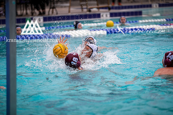 Newport Waterpolo - 263.jpg
