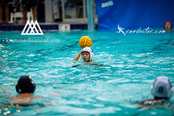 Newport Waterpolo - 398.jpg