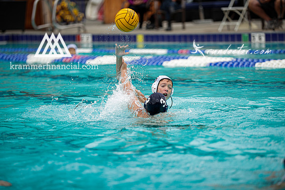 Newport Waterpolo - 768.jpg