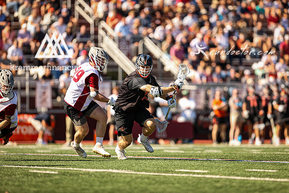 Tigers vs Colgate Fall 2024 - 0098.jpg