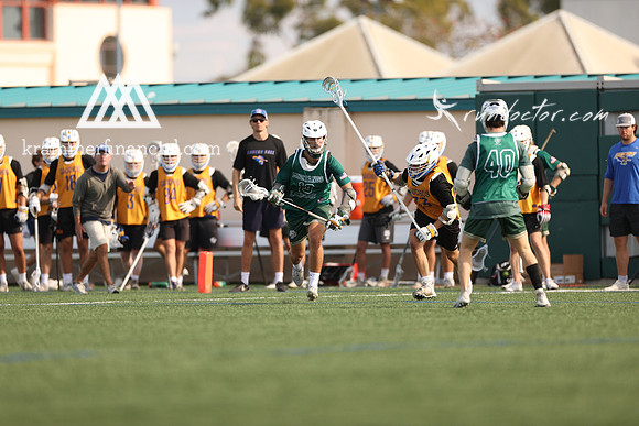 Mustangs Fall 2023 - 1585.jpg