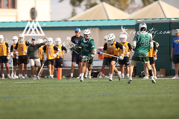 Mustangs Fall 2023 - 1589.jpg