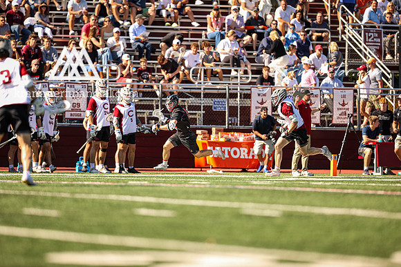 Tigers vs Colgate Fall 2024 - 0076.jpg