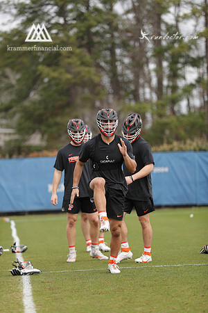 Tigers vs Duke 2024 - 0029.jpg