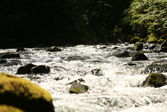 Hood River 2017-0117.jpg
