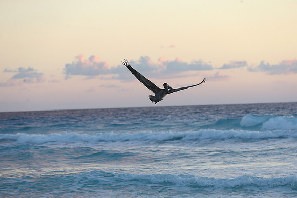 Cancun Christmas 2017 - 1193.jpg