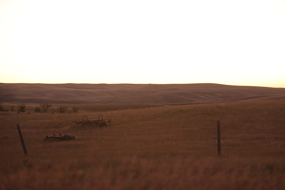 Minnesota 2019 - 0402.jpg