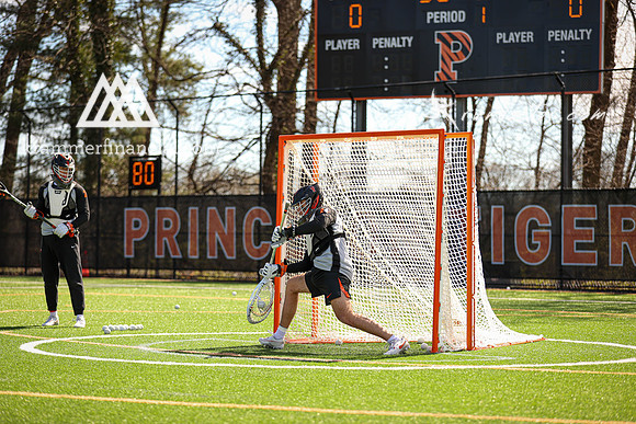 Tigers vs Dartmouth Spring 2024 - 0323.jpg
