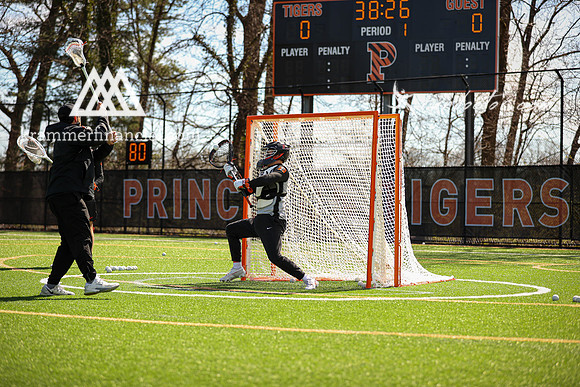Tigers vs Dartmouth Spring 2024 - 0351.jpg