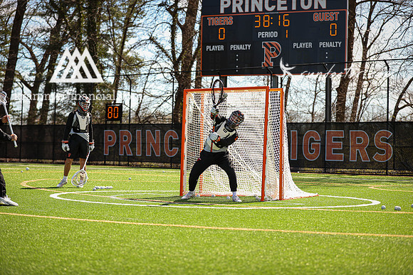 Tigers vs Dartmouth Spring 2024 - 0373.jpg