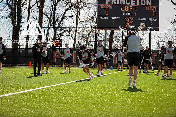 Tigers vs Dartmouth Spring 2024 - 0843.jpg