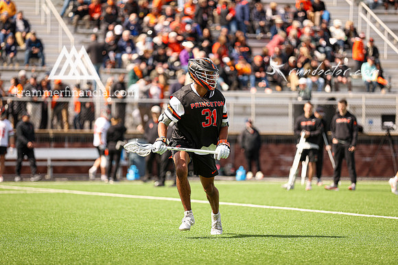 Tigers vs Dartmouth Spring 2024 - 1260.jpg