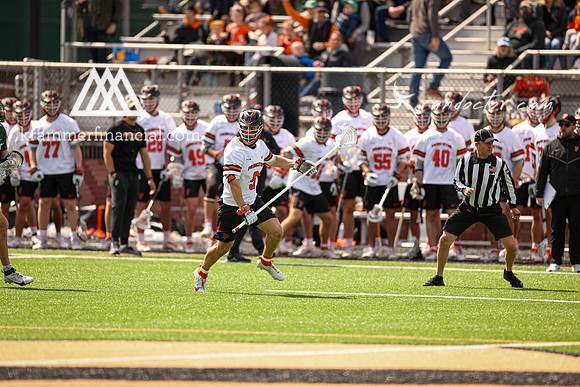 Tigers vs Dartmouth Spring 2024 - 1688.jpg