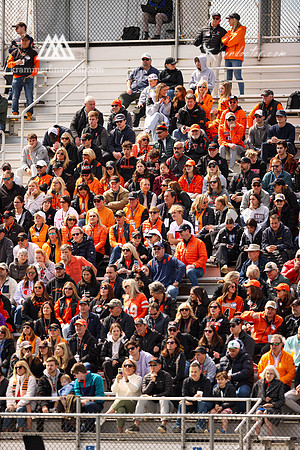 Tigers vs Dartmouth Spring 2024 - 2053.jpg