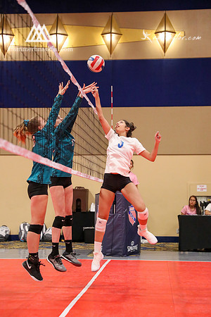 NWJrs 16 Blue Vegas 2019 - 591.jpg
