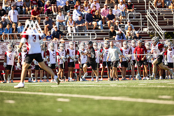 Tigers vs Colgate Fall 2024 - 0079.jpg