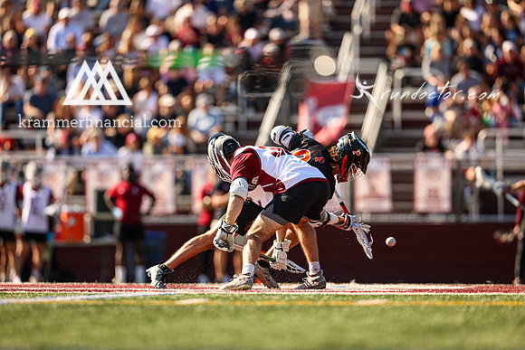 Tigers vs Colgate Fall 2024 - 0768.jpg