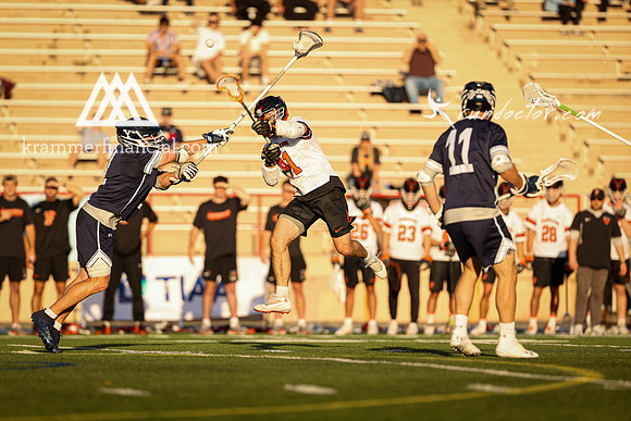Tigers vs Bulldogs Ivy Tourney 2024 - 2665.jpg