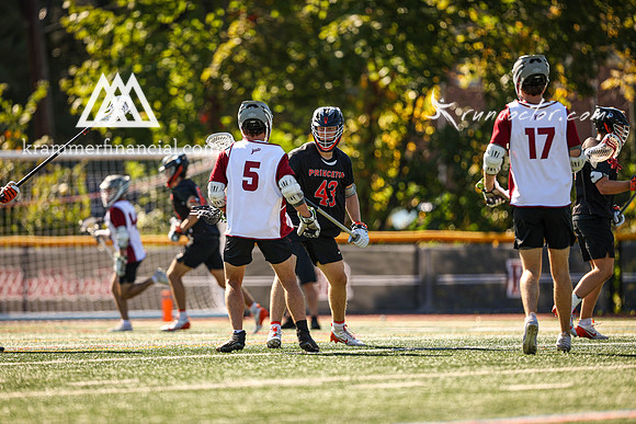 Tigers vs Colgate Fall 2024 - 0778.jpg