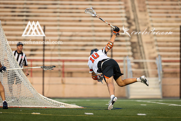 Tigers vs Bulldogs Ivy Tourney 2024 - 3417.jpg