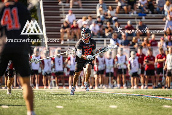 Tigers vs Colgate Fall 2024 - 1550.jpg