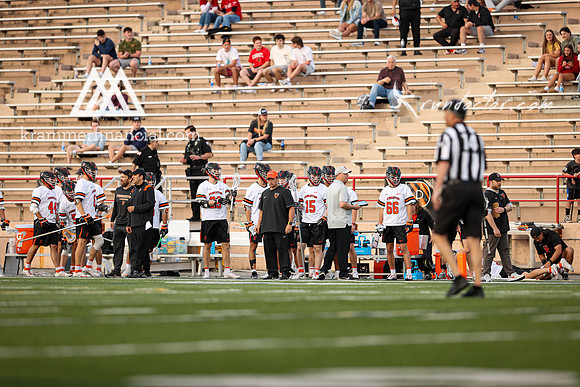 Tigers vs Bulldogs Ivy Tourney 2024 - 3554.jpg