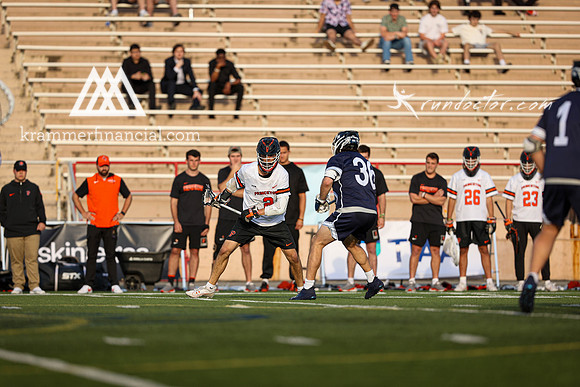 Tigers vs Bulldogs Ivy Tourney 2024 - 2046.jpg