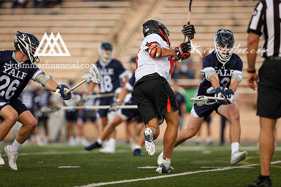 Tigers vs Bulldogs Ivy Tourney 2024 - 0939.jpg