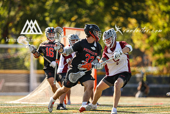 Tigers vs Colgate Fall 2024 - 1731.jpg