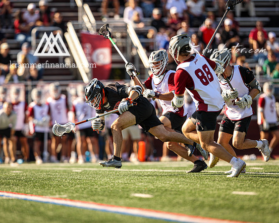 Tigers vs Colgate Fall 2024 - 1641.jpg
