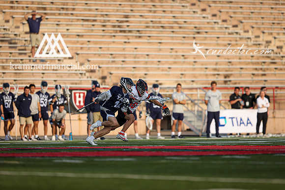 Tigers vs Bulldogs Ivy Tourney 2024 - 2105.jpg