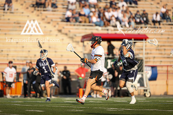Tigers vs Bulldogs Ivy Tourney 2024 - 1869.jpg