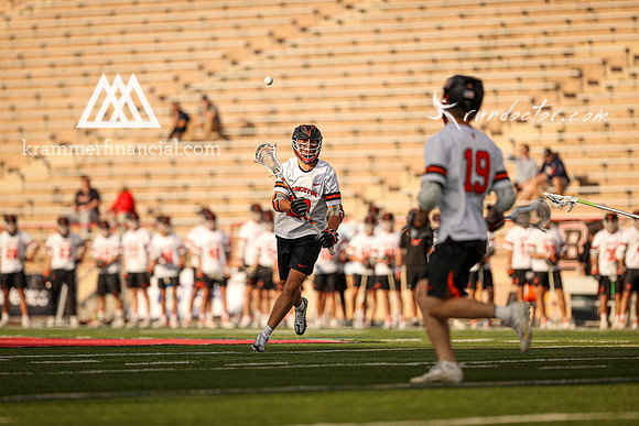 Tigers vs Bulldogs Ivy Tourney 2024 - 1337.jpg