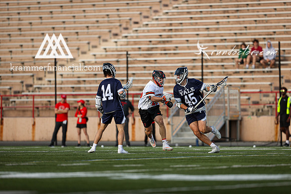 Tigers vs Bulldogs Ivy Tourney 2024 - 1723.jpg